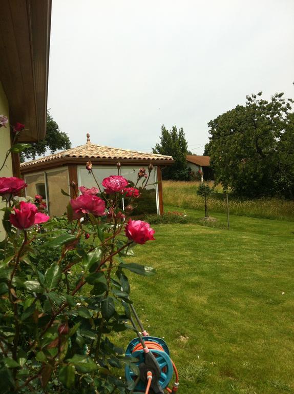 Le Clos Castel - Gite Equipe Casteljaloux Exterior photo
